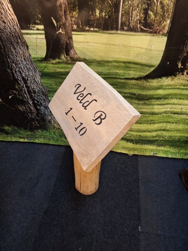 Campingpaaltjes - Afbeelding 2