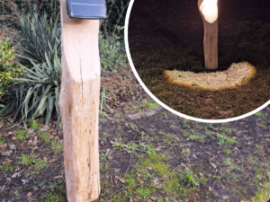 Duurzame Eiken Buitenverlichting.
