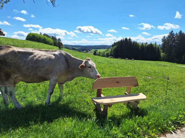 Tuinbank Chiemsee - Afbeelding 11